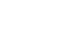 Insignia-AMD
