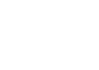 Insignia-kingston